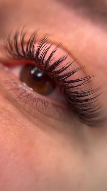 Close-up of an eye with curled lash extensions